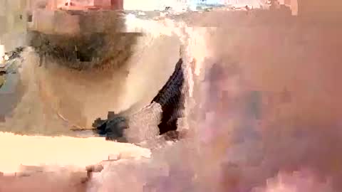 eyyoboobo0 online show from 03.19.26