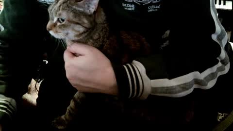 Fabius online show from 01.08.25