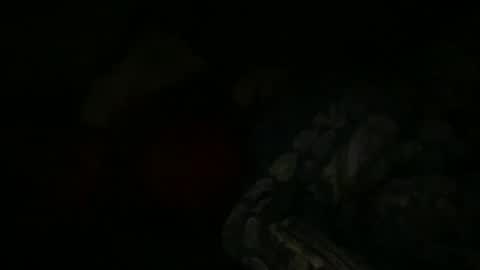 Snapshot of fabx7777 chatting on 01.06.25 FABX online show from 01.06.25