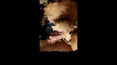 facsavar online show from 02.01.25