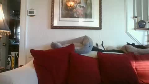 fairmount31 online show from 01.07.25