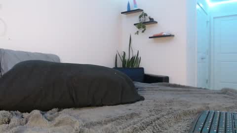 Snapshot of fallonxgray chatting on 03.08.25 Fallon Gray online show from 03.08.25