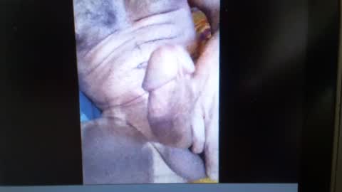 Snapshot of falushp chatting on 01.23.25 falushp online show from 01.23.25