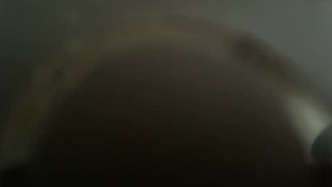 Snapshot of falushp chatting on 02.26.25 falushp online show from 02.26.25