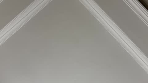 famsea online show from 11.10.25