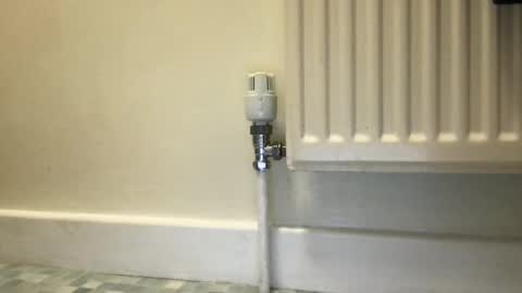 Snapshot of fantacyland chatting on 12.03.24 Alex online show from 12.03.24