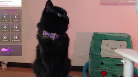 Snapshot of fantasma_gei chatting on 10.25.25  Fantasma.  online show from 10.25.25