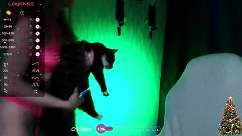 my name is Masha online show from 12.20.24