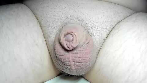 Fatmanscock online show from 12.08.24