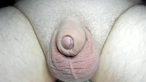 Fatmanscock online show from 12.08.24