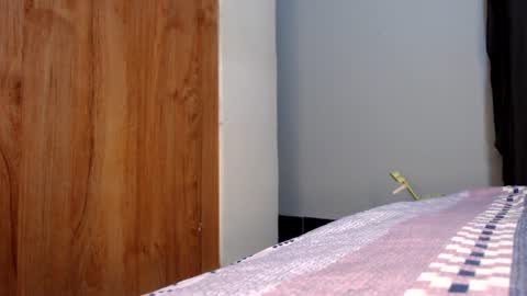 Snapshot of fatpussy_ebony_girl chatting on 07.19.26 lexie online show from 07.19.26
