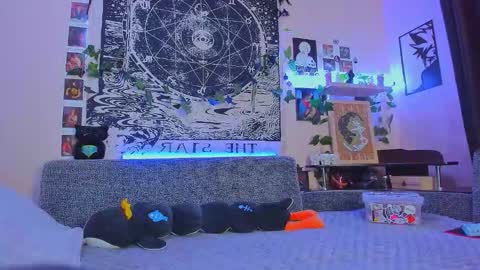 Diva online show from 11.11.25