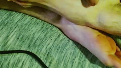 Snapshot of feelingverynaughty chatting on 01.30.25 ask me online show from 01.30.25