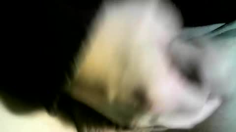 felicaste online show from 02.09.25