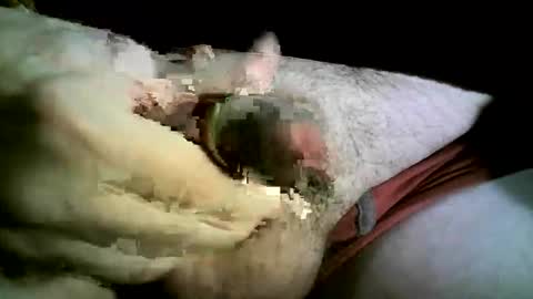 felicaste online show from 11.26.25