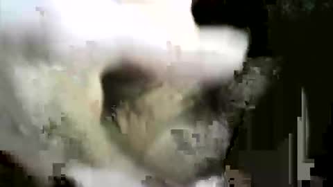 felicaste online show from 12.02.25