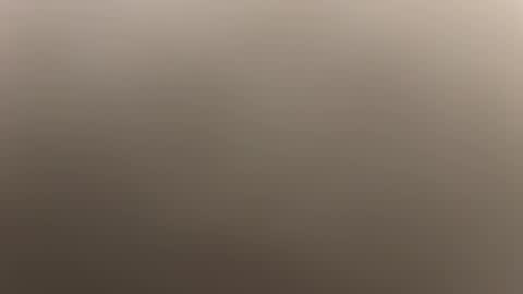 Snapshot of felixthekat911 chatting on 11.05.25 felixthekat911 online show from 11.05.25