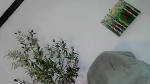 Snapshot of femboy_veronica chatting on 05.03.26 femboy_veronica online show from 05.03.26