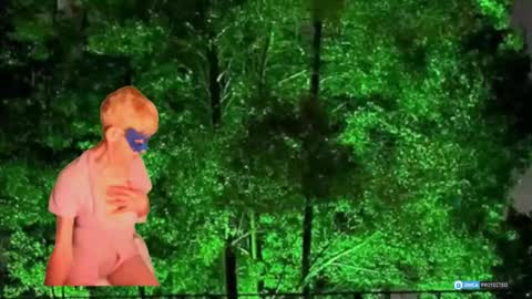 Daniani online show from 03.01.26