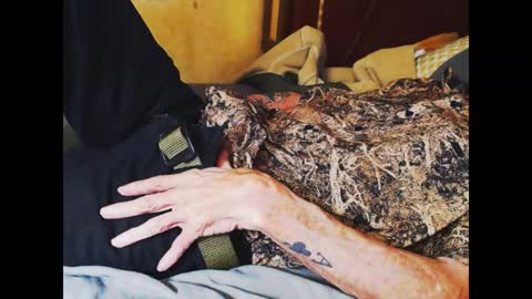 ferra_testarossa online show from 01.04.25