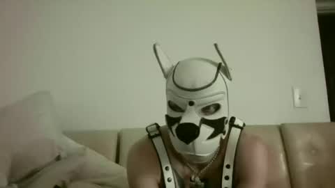 Snapshot of fetishsearch1abdl chatting on 09.25.25 fetishsearch1abdl online show from 09.25.25