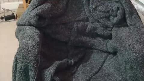 Snapshot of ffys2025 chatting on 02.13.26 ffys2025 online show from 02.13.26