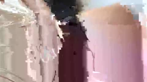 fifipan online show from 10.25.25