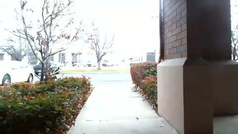 pain slut daren online show from 12.16.24