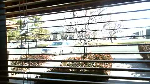 pain slut daren online show from 01.09.25