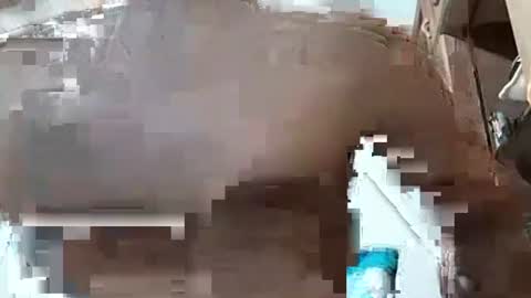 Snapshot of fitchestabs_69 chatting on 12.07.24 fitchestabs_69 online show from 12.07.24