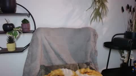fitness1989 online show from 07.20.26