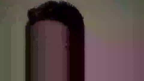 Nate online show from 06.10.26