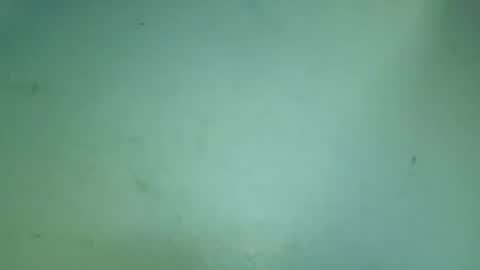 flooreenceee online show from 07.25.26