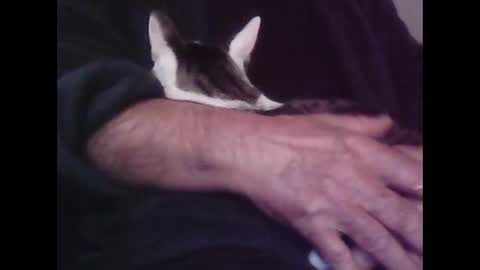 Snapshot of foolmonty chatting on 10.12.25 Hooz2no online show from 10.12.25