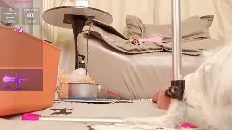 yiyi online show from 04.14.26