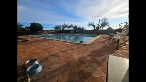 fra  71 online show from 03.27.26