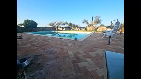 fra  71 online show from 03.28.26