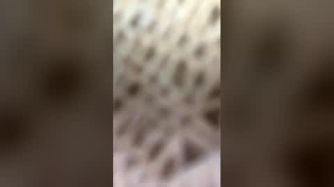 fransicus1988 online show from 03.19.26