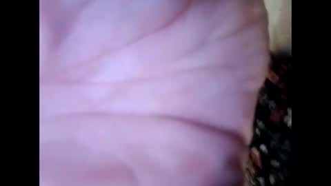 frecklesandsparky online show from 04.04.26