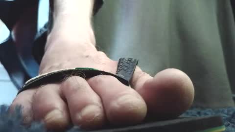 Snapshot of fredthetom12 chatting on 02.04.26 Greedy Fred online show from 02.04.26