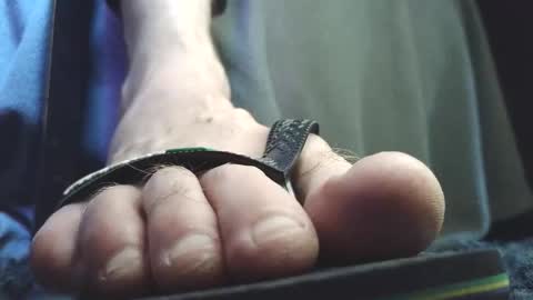 Snapshot of fredthetom12 chatting on 02.05.26 Greedy Fred online show from 02.05.26