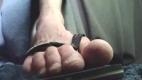 Snapshot of fredthetom12 chatting on 02.18.26 Greedy Fred online show from 02.18.26