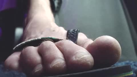 Snapshot of fredthetom12 chatting on 02.20.26 Greedy Fred online show from 02.20.26