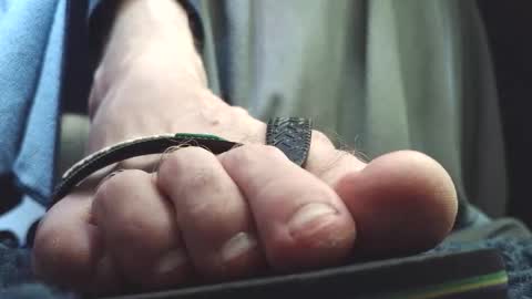 Snapshot of fredthetom12 chatting on 02.26.26 Greedy Fred online show from 02.26.26