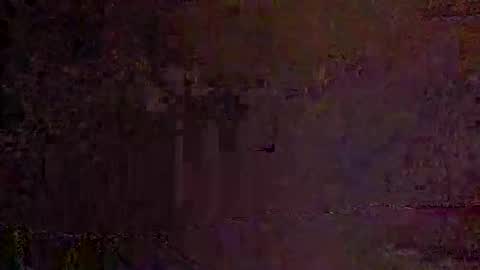 Snapshot of freelingling chatting on 11.30.25 freelingling online show from 11.30.25