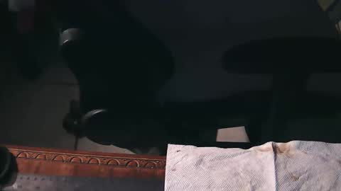 freetryal online show from 11.21.25