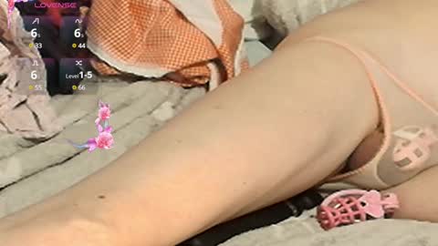 Meadow online show from 02.02.25