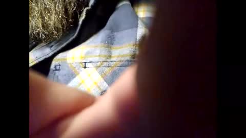 Snapshot of frickish chatting on 02.05.25 Frickish online show from 02.05.25