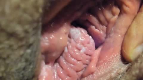 Snapshot of frumcake chatting on 01.04.25 FrumCake online show from 01.04.25