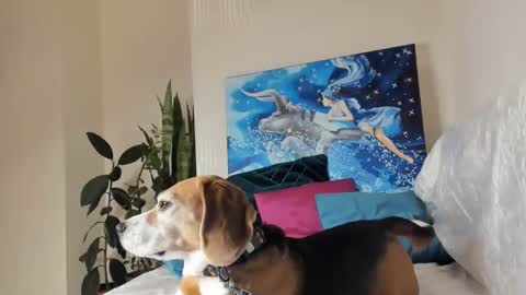 Vicky online show from 01.10.25